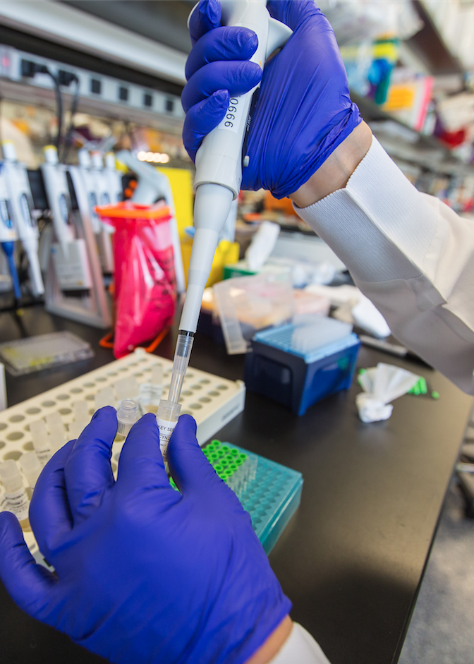 Pharmacokinetic Pk Assays Pk Pd Analysis Dmpk Assay